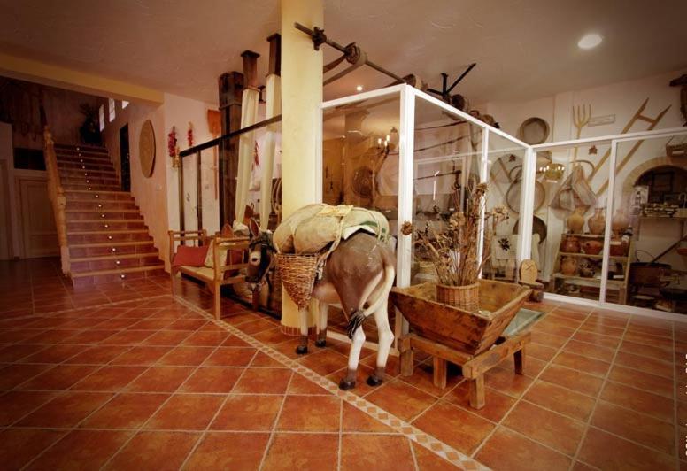 Casa Rural Molino Pataslargas Cotillas Exteriér fotografie